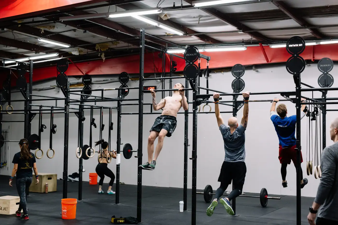 Fitness & Strength Training