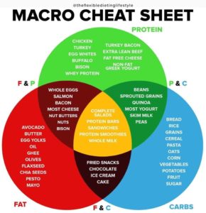 Macro cheat sheet that shows protein carbs and fats
